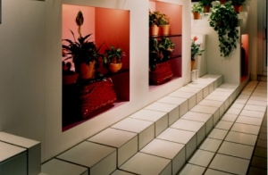 Broadway Floral, New York